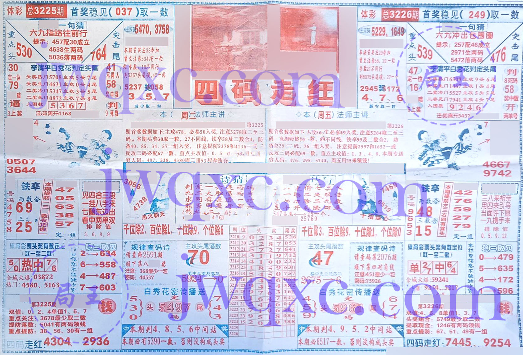 四码走红
