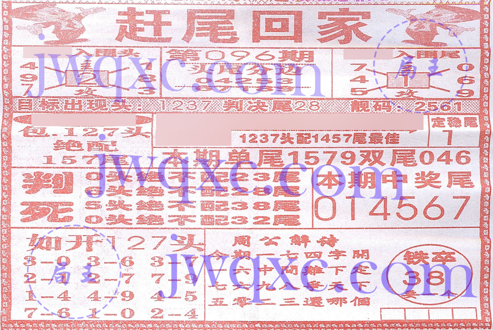 赶尾回家