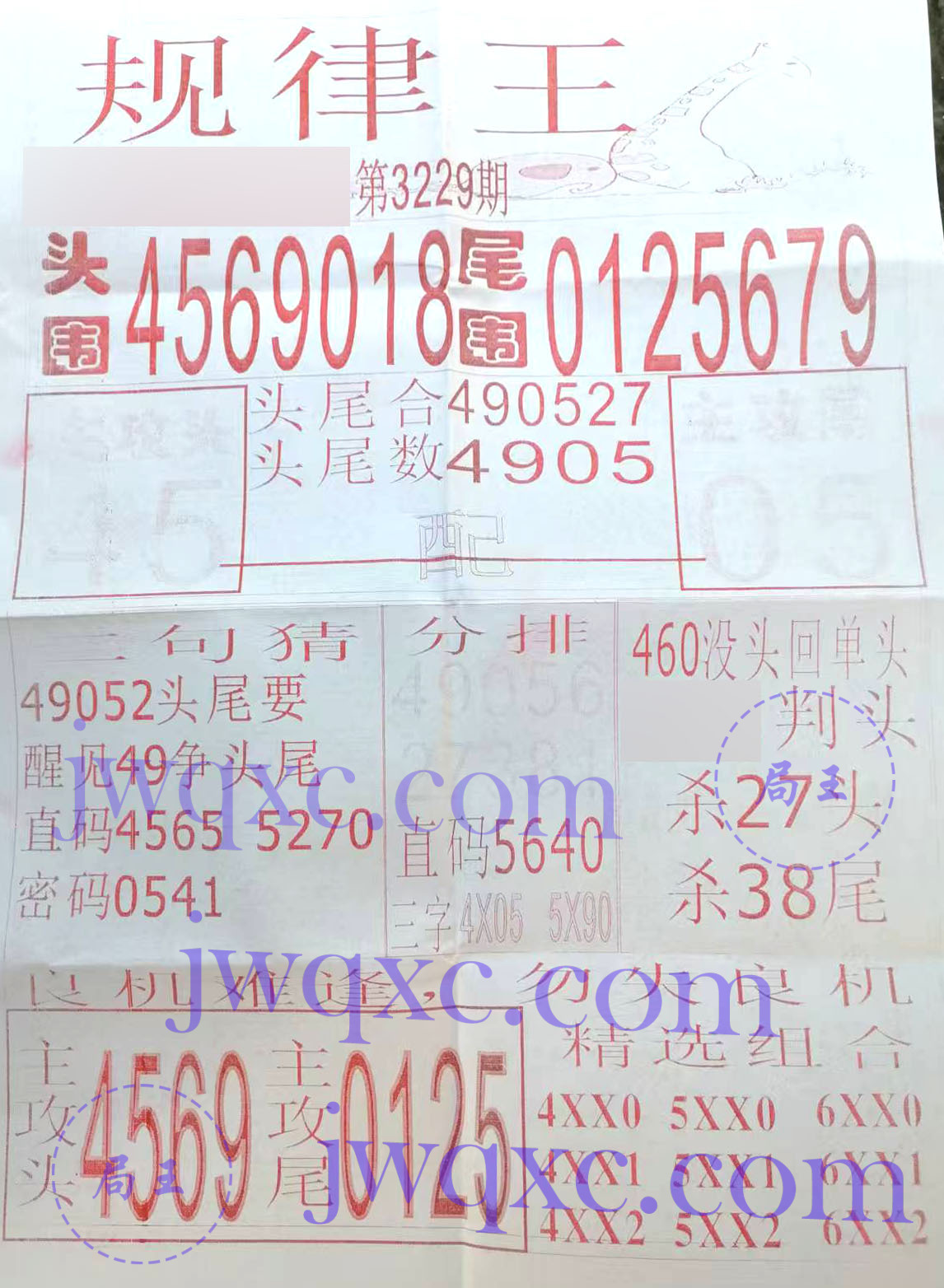 规律王