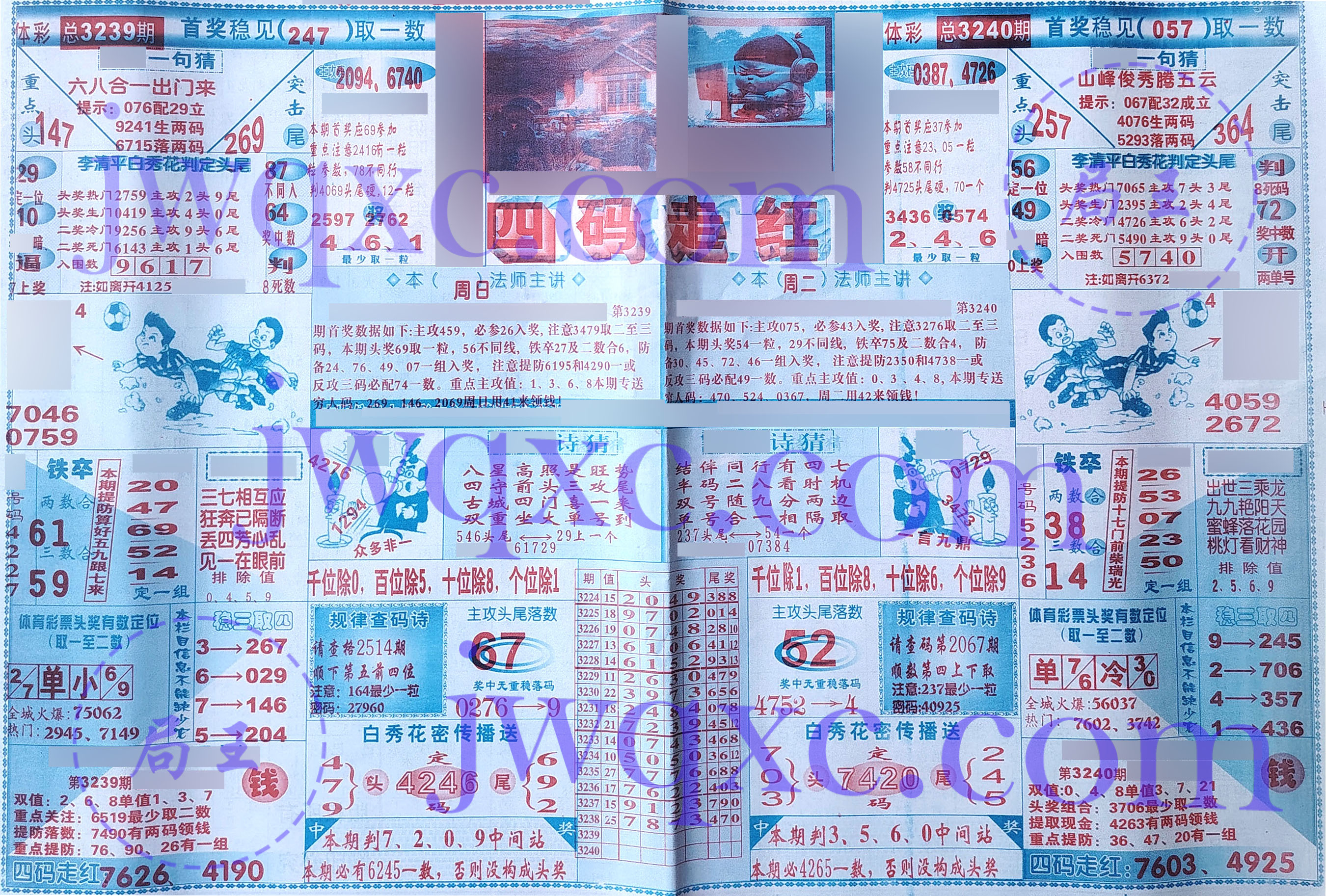 四码走红