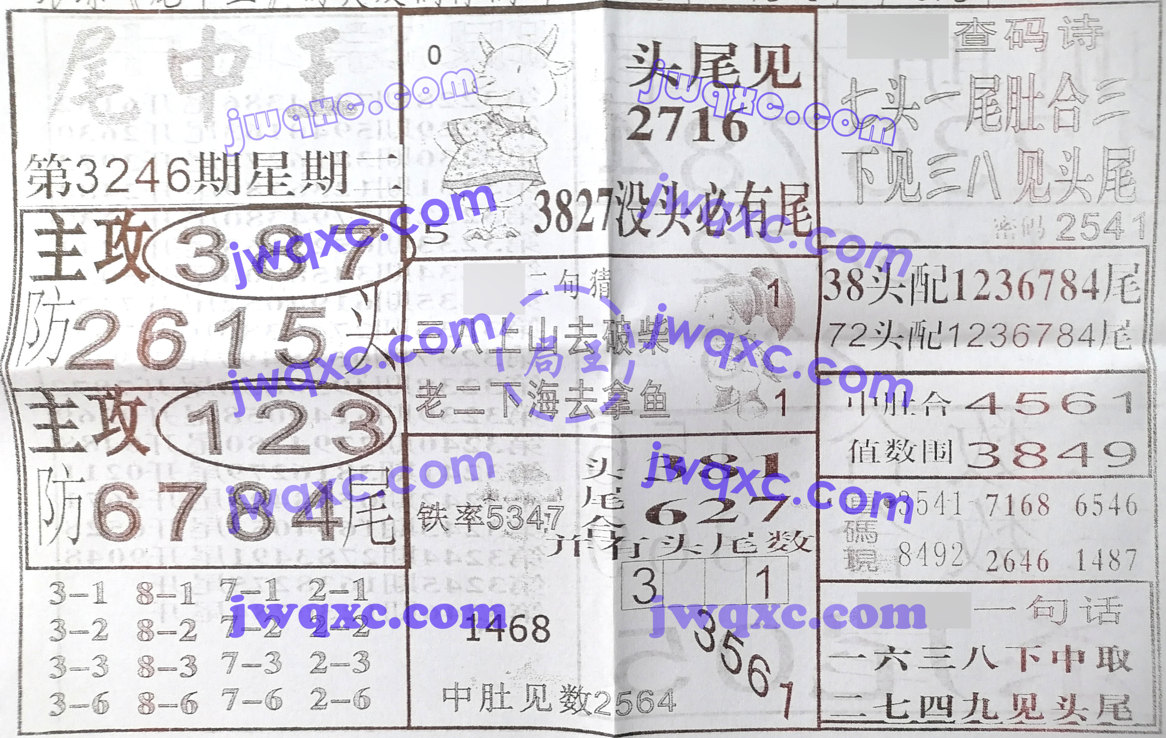 尾中王