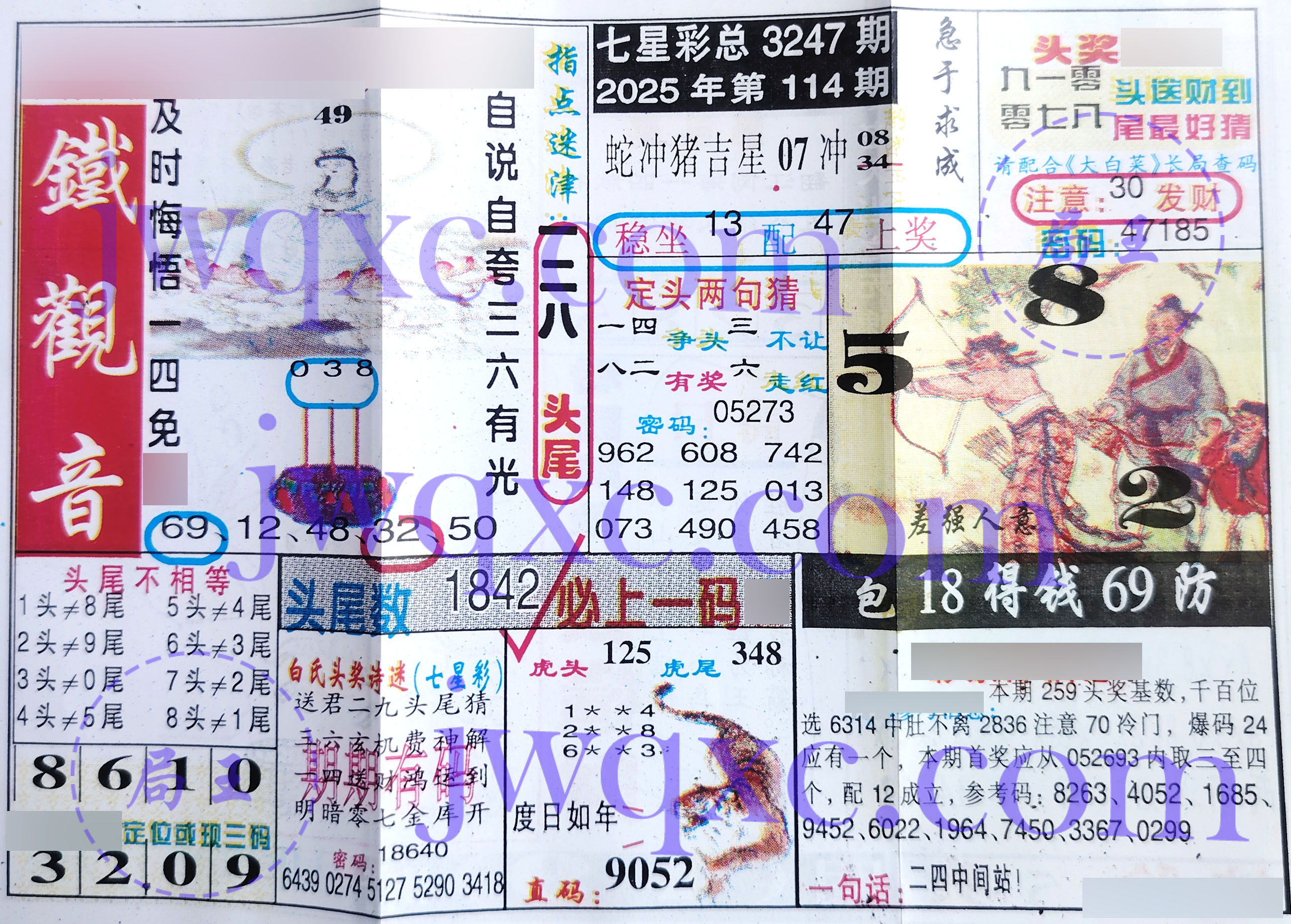 铁观音