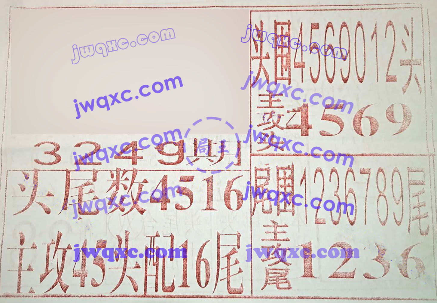 中暴彩市