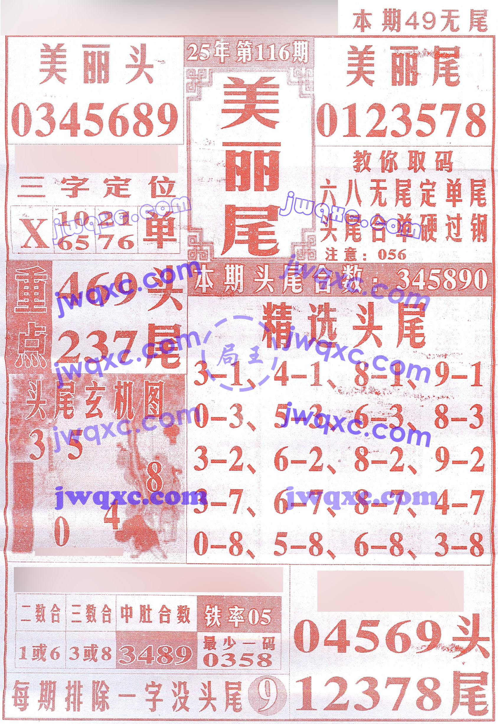 美丽尾