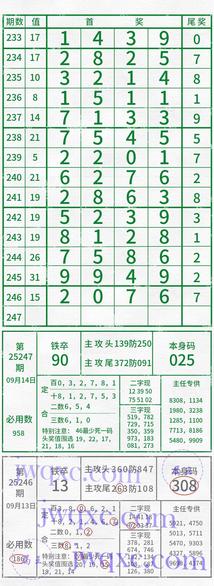 吴主任